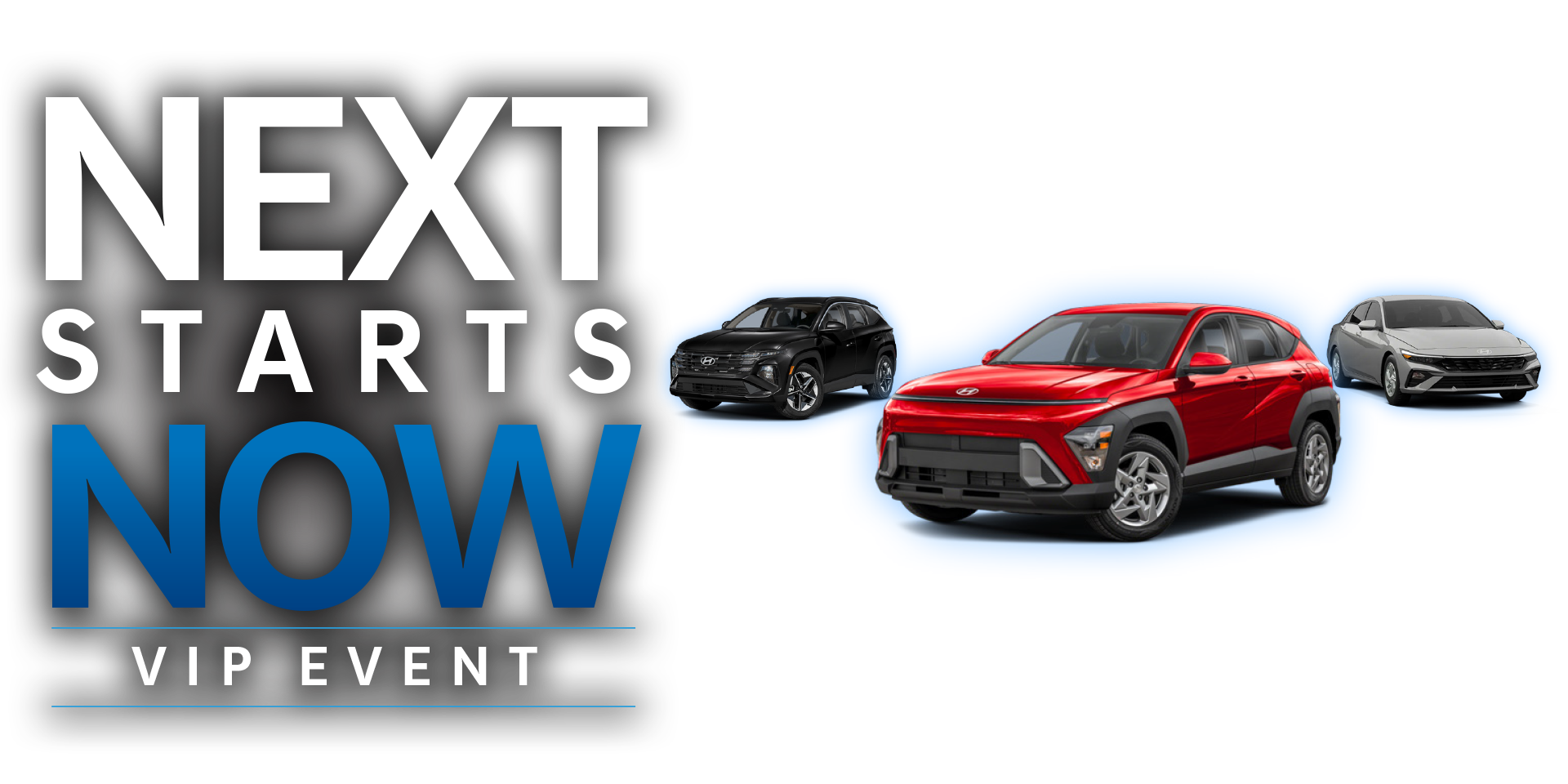 Steele Hyundai VIP Event