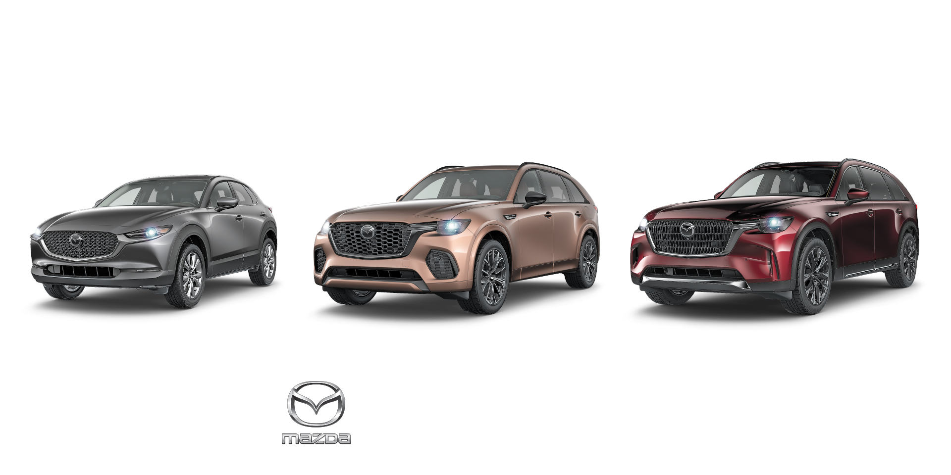 Steele Mazda St Johns VIP Event