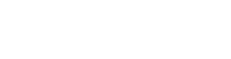 Steele Hyundai